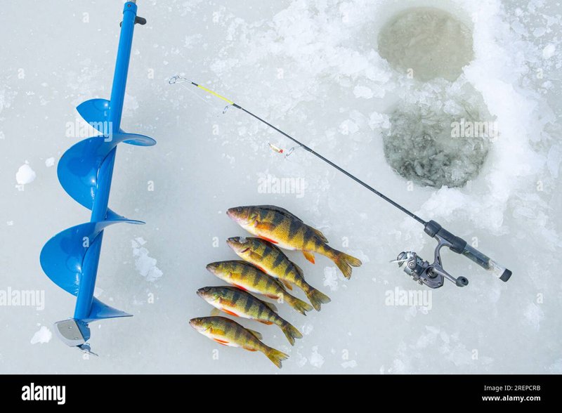 Discover ice fishing live casino