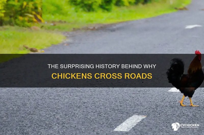 Best chicken road españa in Spain